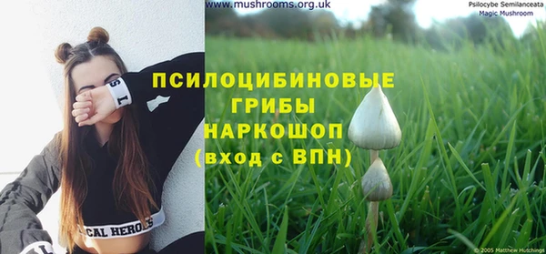 кокаин перу Ладушкин